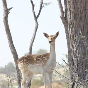 Meet your Posher, Zara